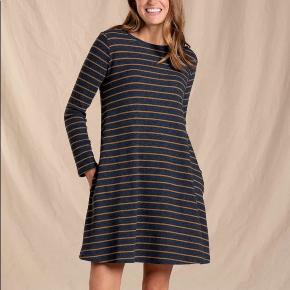 Toad & Co Foothill Long Sleeve Swing Dress Striped